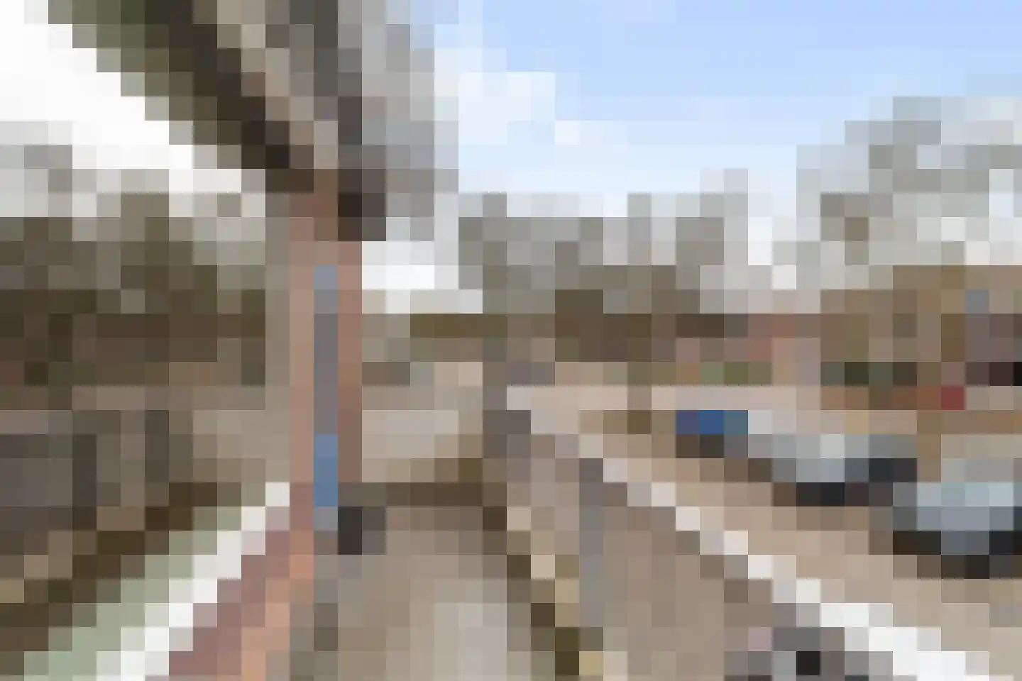 Goudfazant 4 Nieuwegein thumbnail 22