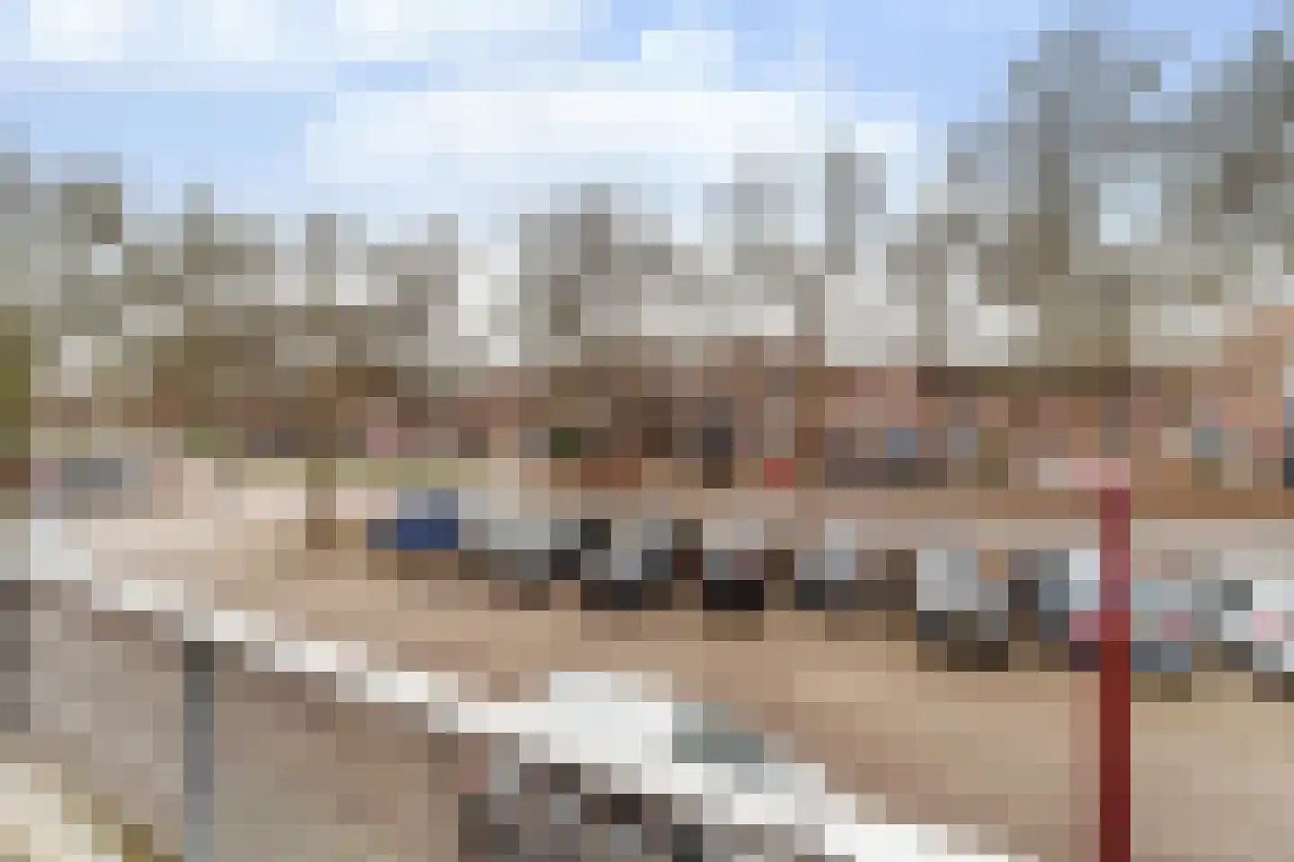 Goudfazant 4 Nieuwegein thumbnail 23