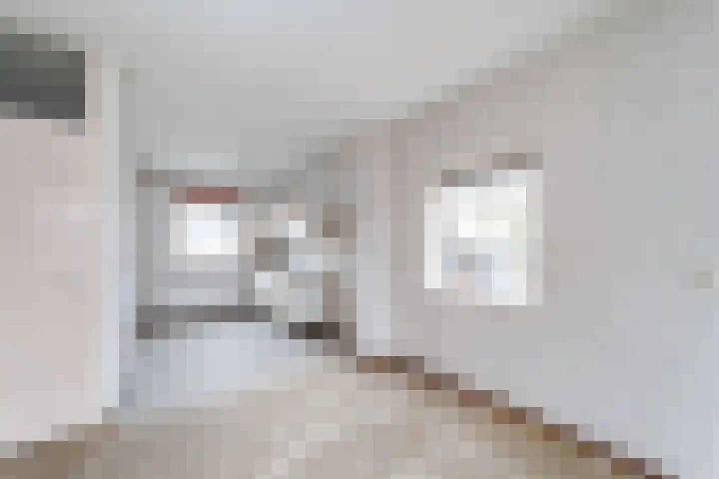 Goudfazant 4 Nieuwegein thumbnail 28