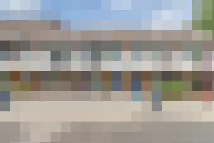 Goudfazant 6 Nieuwegein