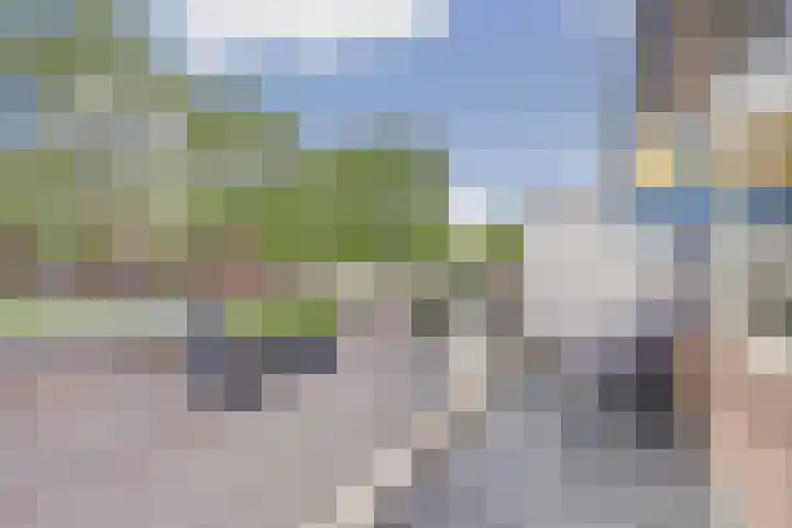 Goudfazant 6 Nieuwegein thumbnail 19