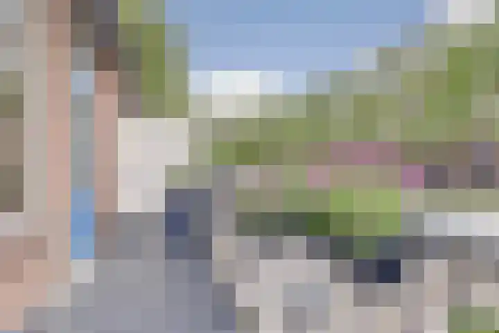 Goudfazant 6 Nieuwegein thumbnail 20