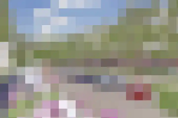 Goudfazant 6 Nieuwegein thumbnail 21