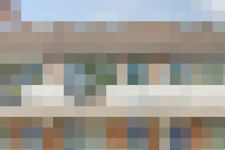 Goudfazant 6 Nieuwegein thumbnail 22