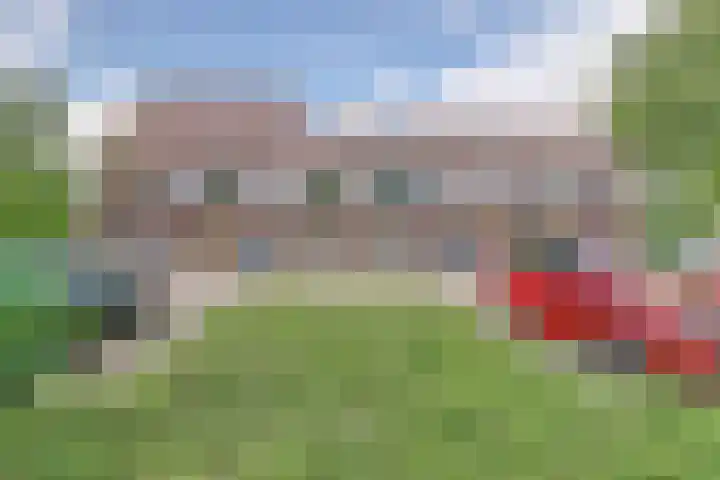 Goudfazant 6 Nieuwegein thumbnail 23