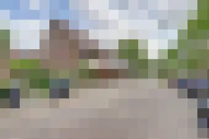 Goudfazant 6 Nieuwegein thumbnail 24
