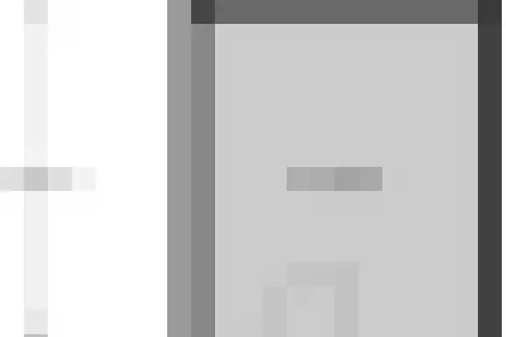 Goudfazant 6 Nieuwegein thumbnail 27