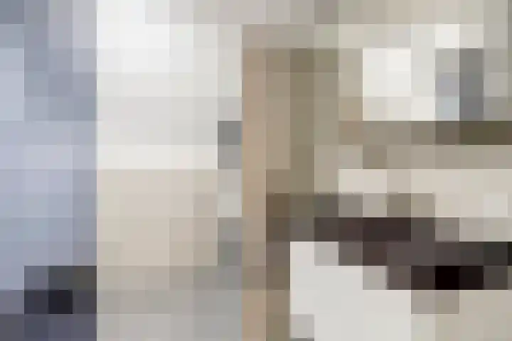 Goudfazant 6 Nieuwegein thumbnail 4