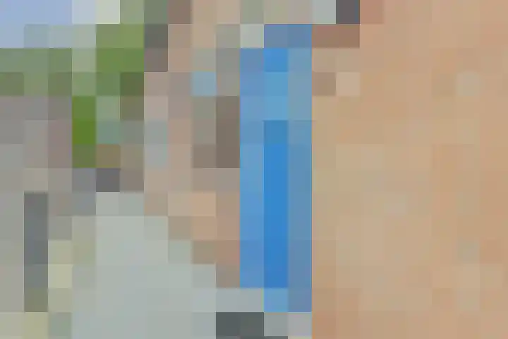 Goudfazant 6 Nieuwegein thumbnail 5