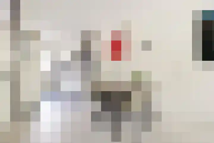 Goudfazant 6 Nieuwegein thumbnail 8