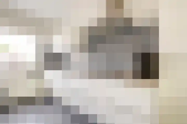 Goudfazant 6 Nieuwegein thumbnail 9