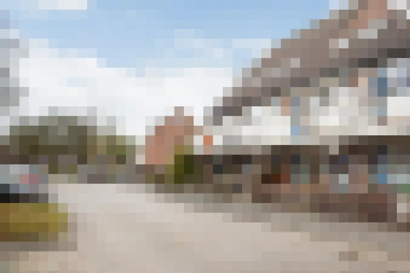 Goudfazant 7 Nieuwegein