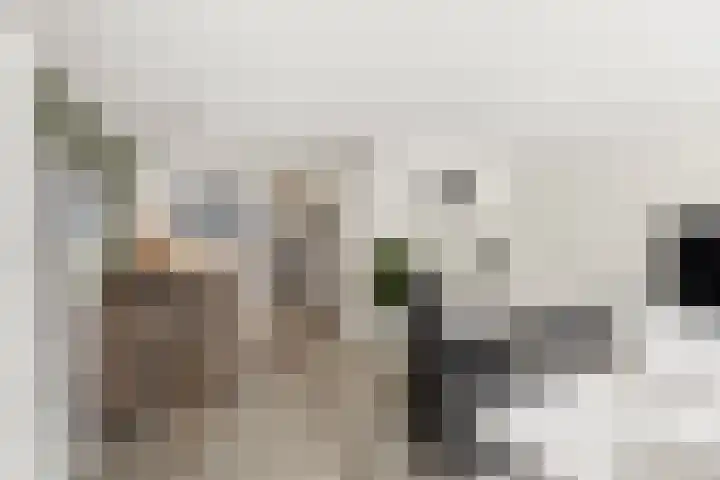 Goudhaanstraat 19 Duiven thumbnail 13