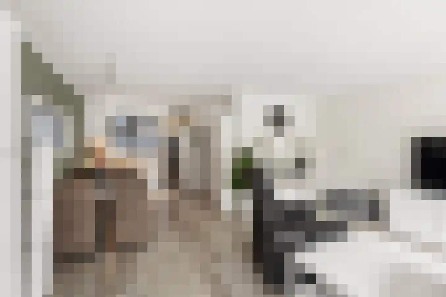 Goudhaanstraat 19 Duiven thumbnail 13