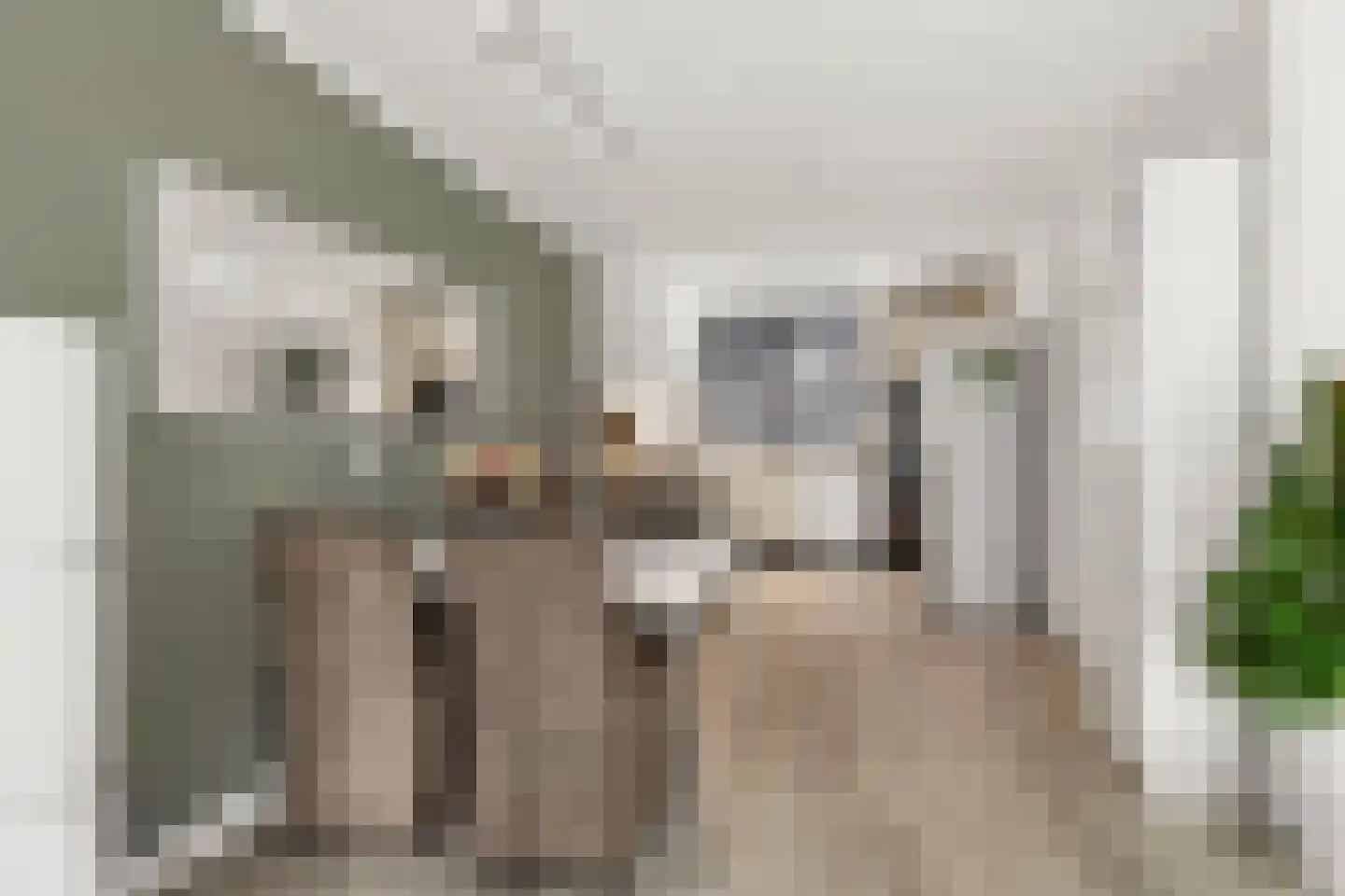 Goudhaanstraat 19 Duiven thumbnail 15