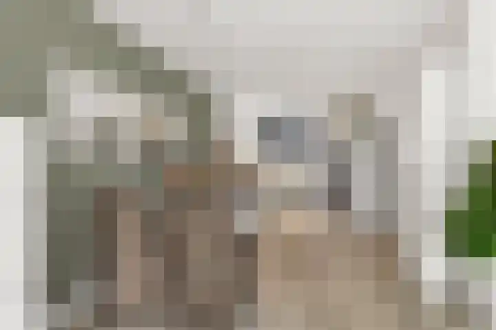 Goudhaanstraat 19 Duiven thumbnail 15