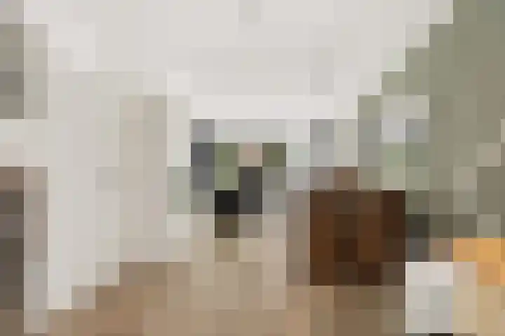 Goudhaanstraat 19 Duiven thumbnail 17