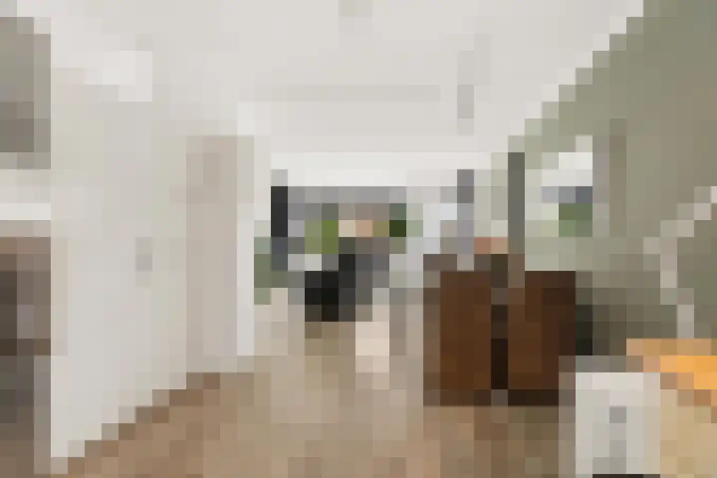 Goudhaanstraat 19 Duiven thumbnail 17
