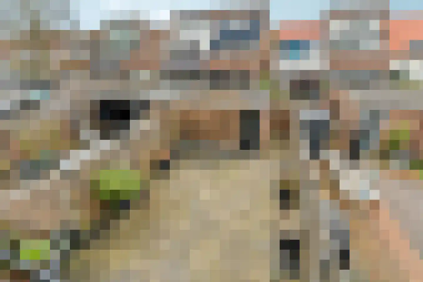 Goudhaanstraat 19 Duiven thumbnail 23