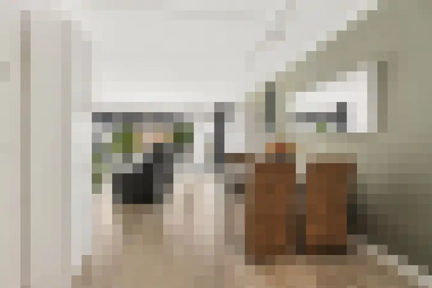 Goudhaanstraat 19 Duiven thumbnail 6