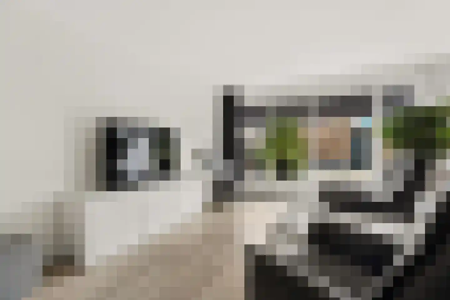 Goudhaanstraat 19 Duiven thumbnail 7