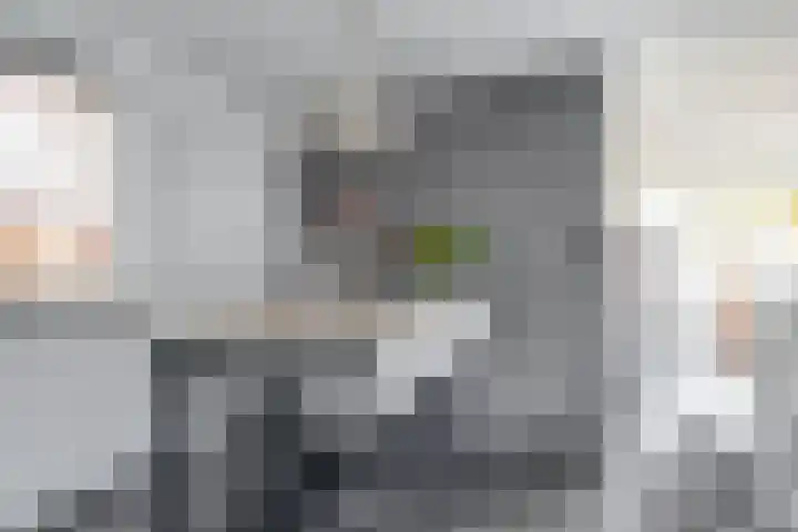 Goudhaantje 3 Bladel thumbnail 12