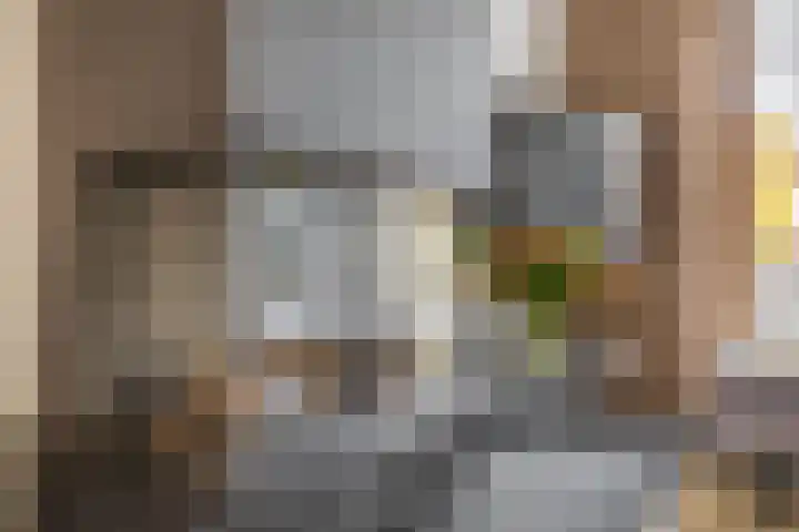 Goudhaantje 3 Bladel thumbnail 13