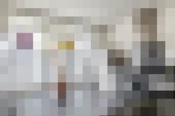 Goudhaantje 3 Bladel thumbnail 14