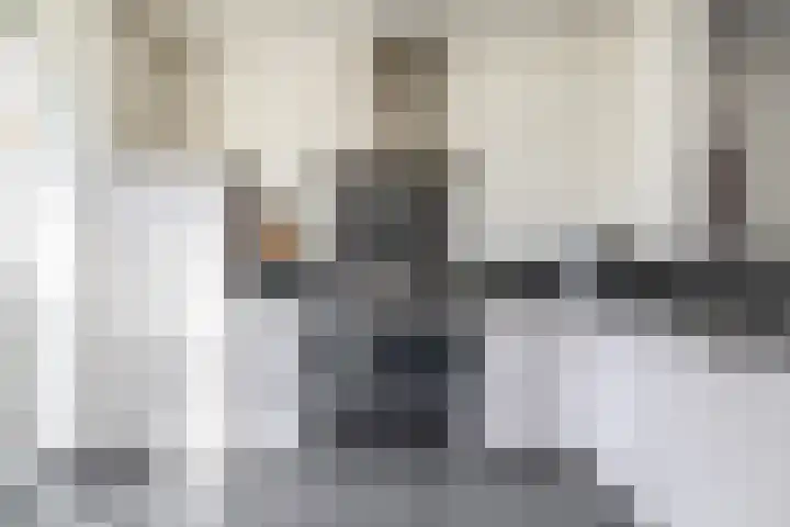 Goudhaantje 3 Bladel thumbnail 15