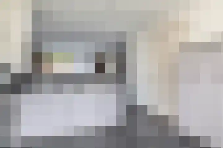 Goudhaantje 3 Bladel thumbnail 16