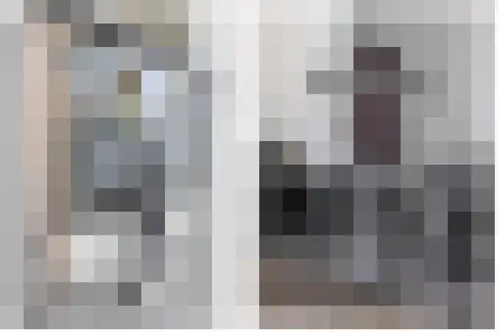 Goudhaantje 3 Bladel thumbnail 17