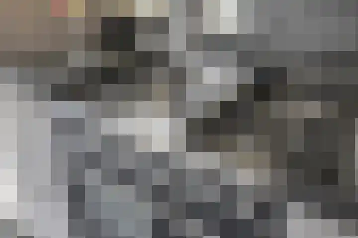 Goudhaantje 3 Bladel thumbnail 18