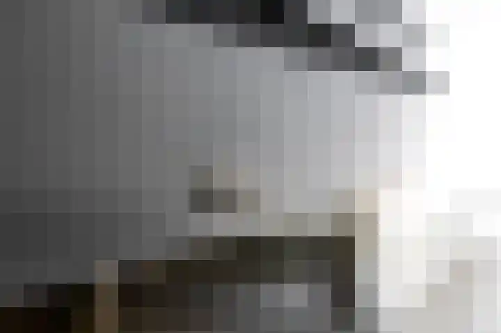 Goudhaantje 3 Bladel thumbnail 20