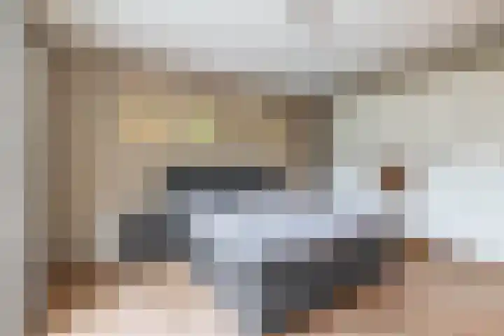 Goudhaantje 3 Bladel thumbnail 21