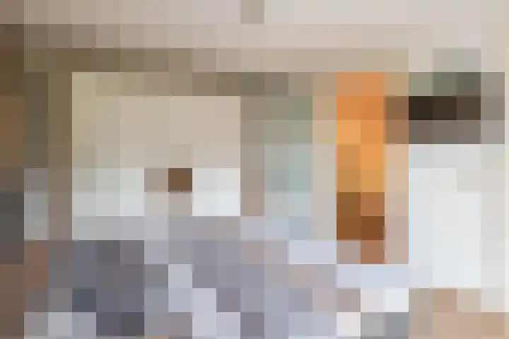 Goudhaantje 3 Bladel thumbnail 22