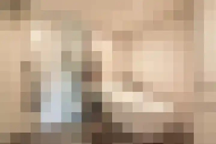 Goudhaantje 3 Bladel thumbnail 26