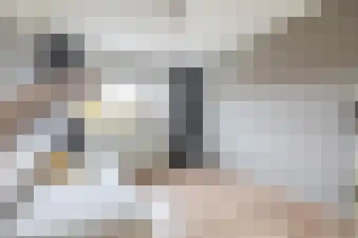 Goudhaantje 3 Bladel thumbnail 32