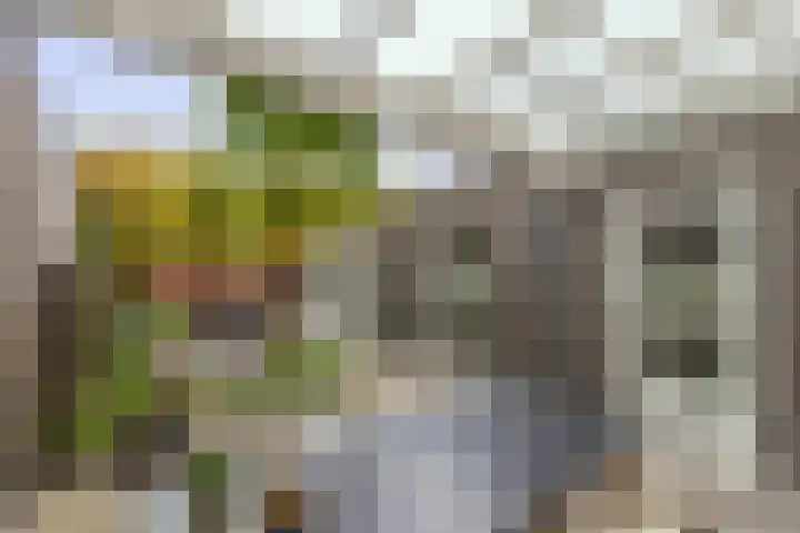 Goudhaantje 3 Bladel thumbnail 37