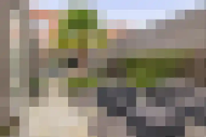 Goudhaantje 3 Bladel thumbnail 39