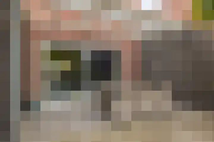 Goudhaantje 3 Bladel thumbnail 40