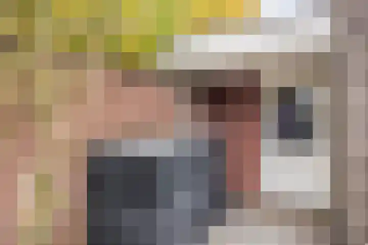 Goudhaantje 3 Bladel thumbnail 41