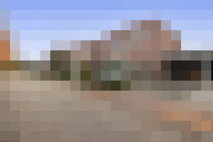 Goudhaantje 3 Bladel thumbnail 43