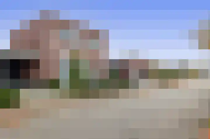 Goudhaantje 3 Bladel thumbnail 44
