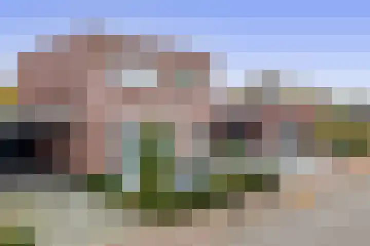 Goudhaantje 3 Bladel thumbnail 5