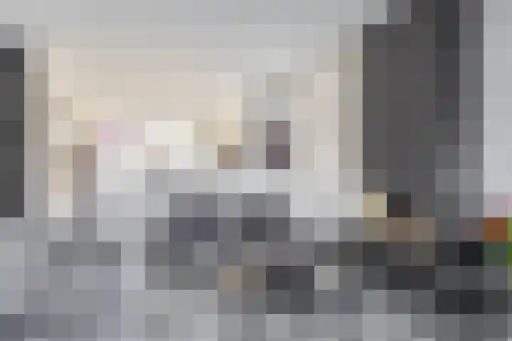 Goudhaantje 3 Bladel thumbnail 9
