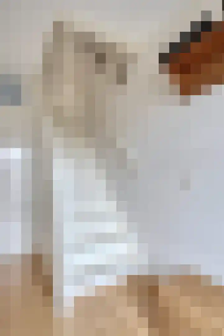 Goudhaver 13 Tiel thumbnail 10