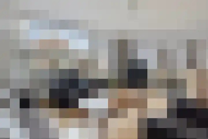 Goudhaver 13 Tiel thumbnail 13