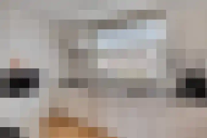 Goudhaver 13 Tiel thumbnail 16