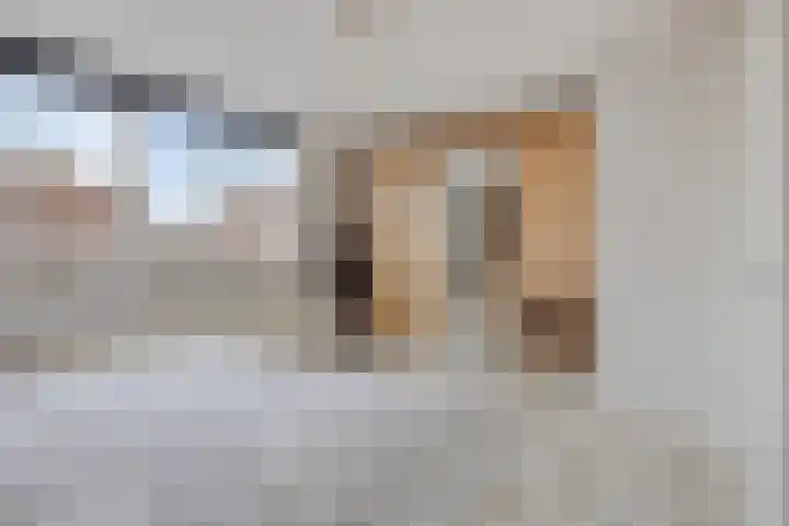 Goudhaver 13 Tiel thumbnail 18