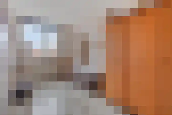 Goudhaver 13 Tiel thumbnail 21